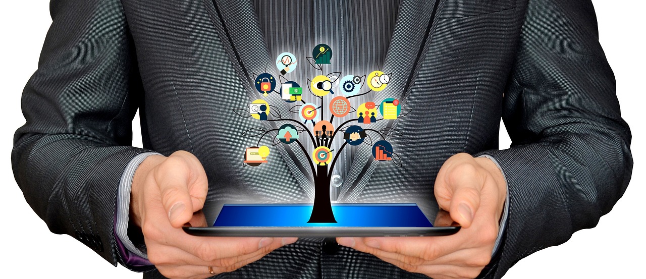What Comes After MVP? Next Steps For Startups in 2024